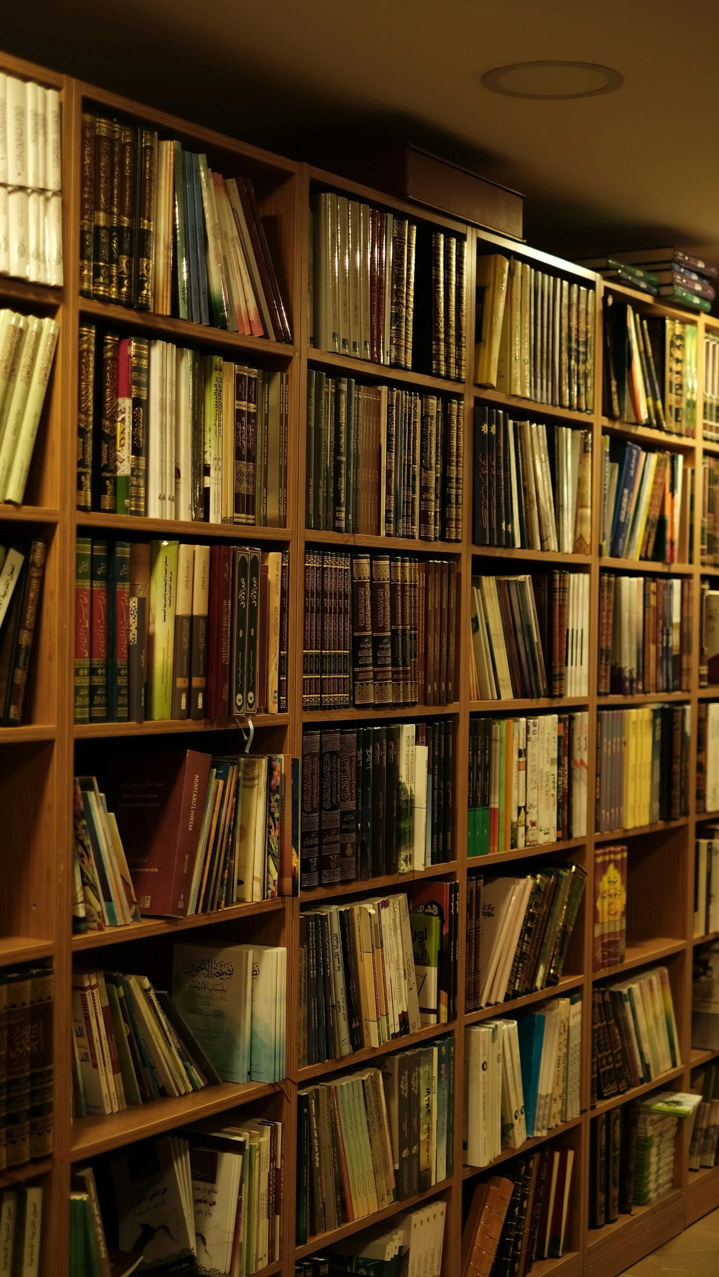 Top US university library resources for international student research